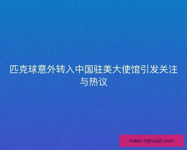 匹克球意外转入中国驻美大使馆引发关注与热议